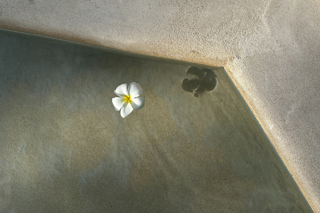 Pleasure at Any Age: Embracing Sexual Wellness Through Life's Stages